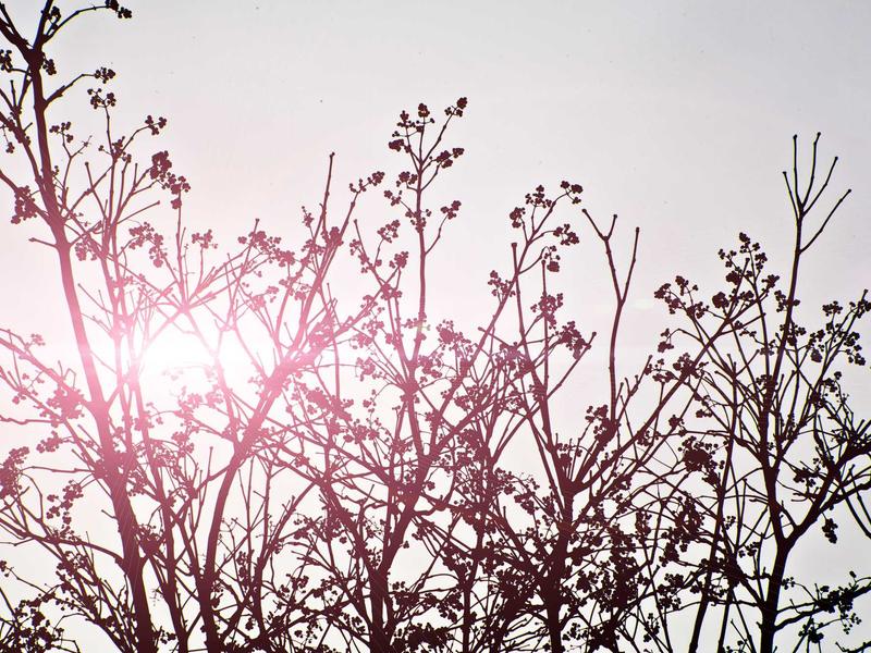 sudoku solving methods screenshot 1