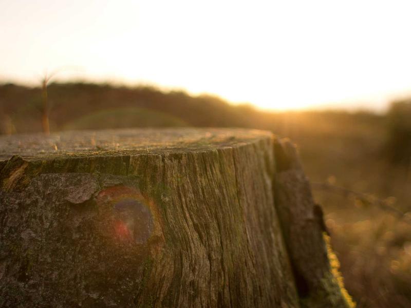 sudoku social features